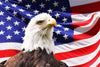 American national eagle