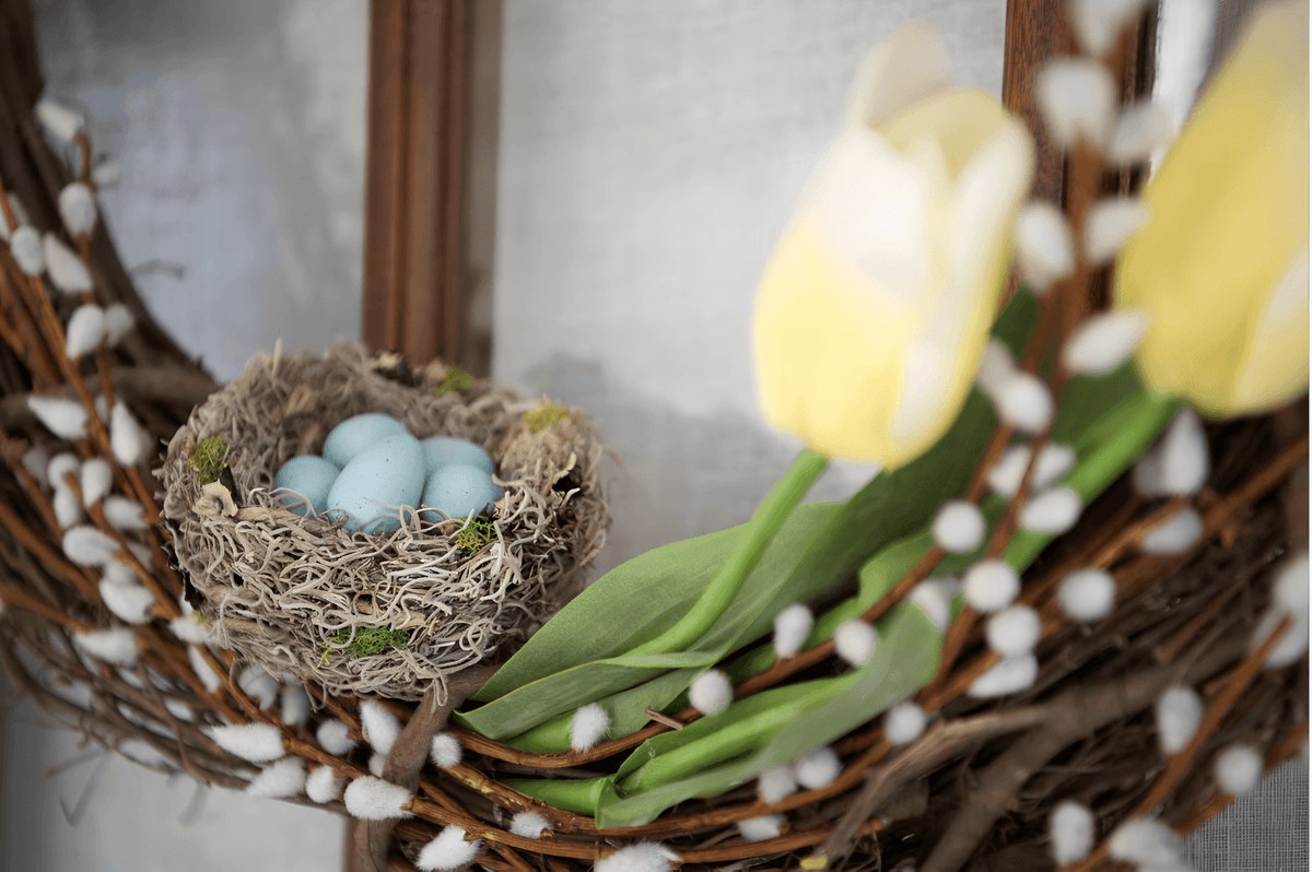 What To Do When A Bird Makes A Nest In Your Wreath