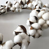 Decorative Cotton Balls