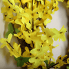 Load image into Gallery viewer, faux forsythia wreath