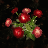 Load image into Gallery viewer, flower lights