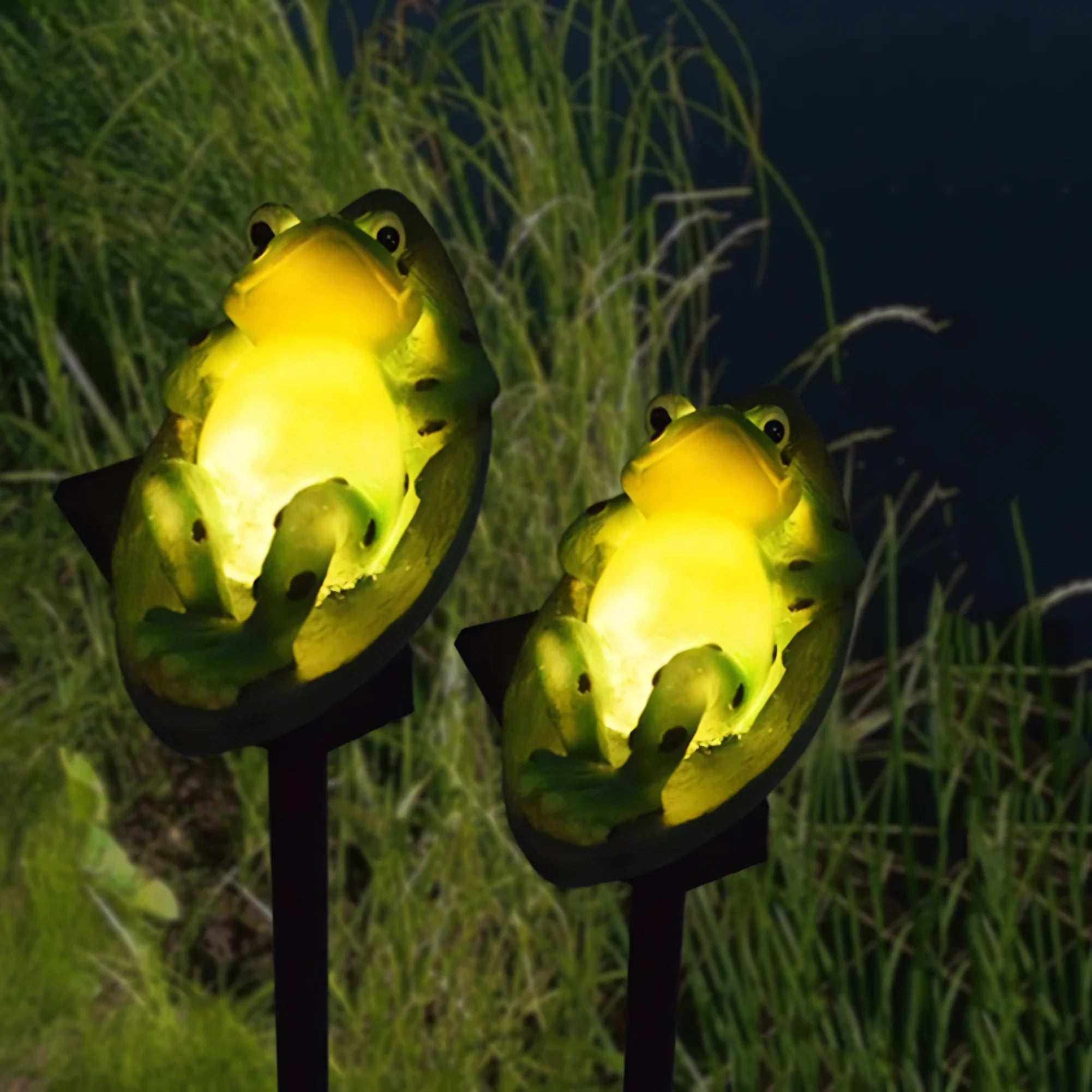 Frog solar lights