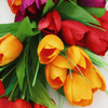 tulip wreaths for front door